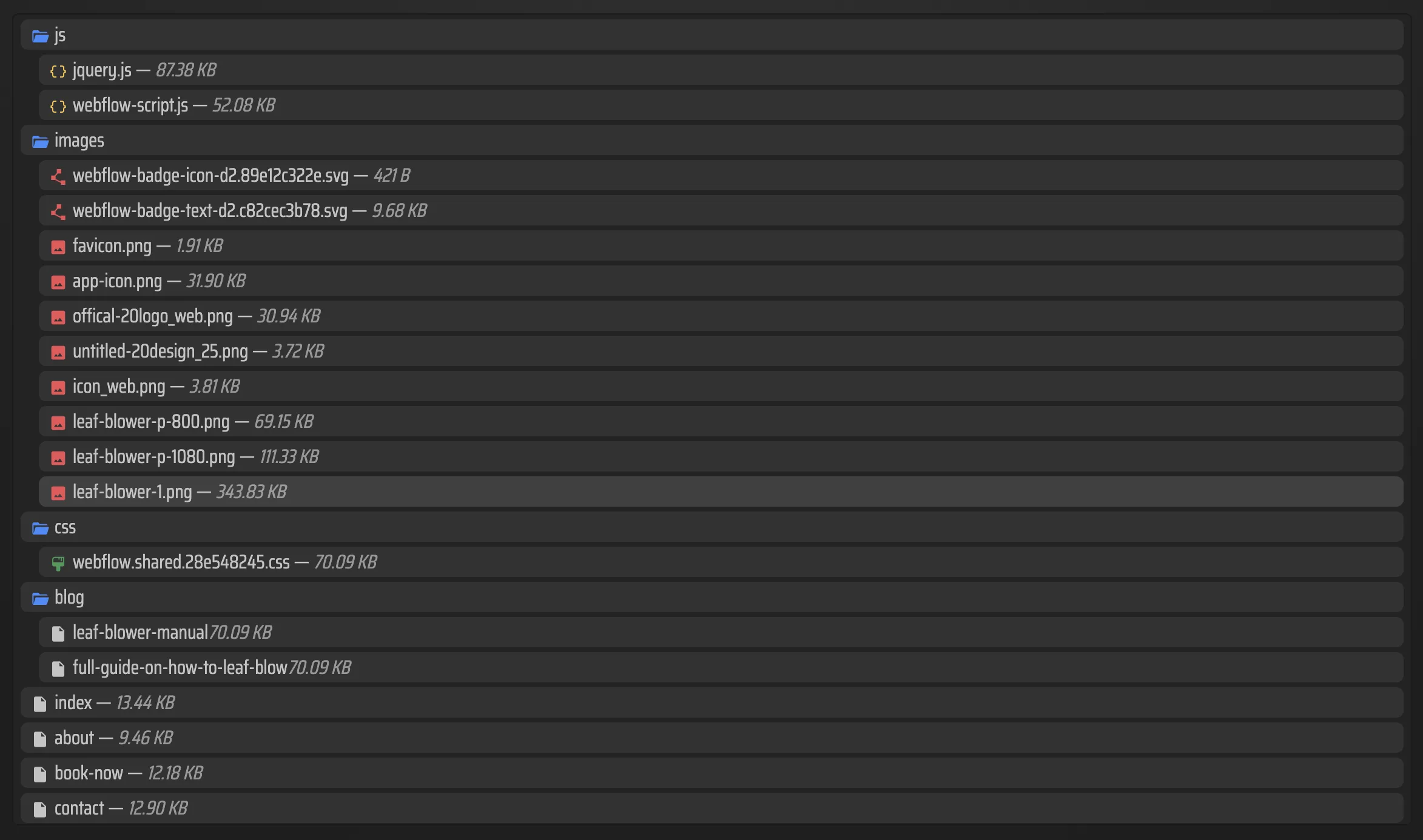 Screenshot of ExFlow showing the list of exported files after an export